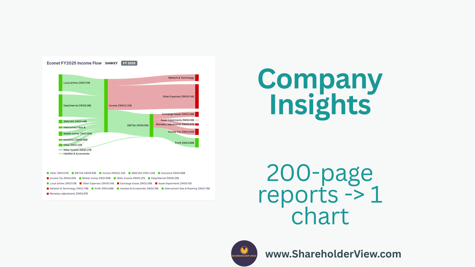 Company insights: interactive Sankey charts and ratios