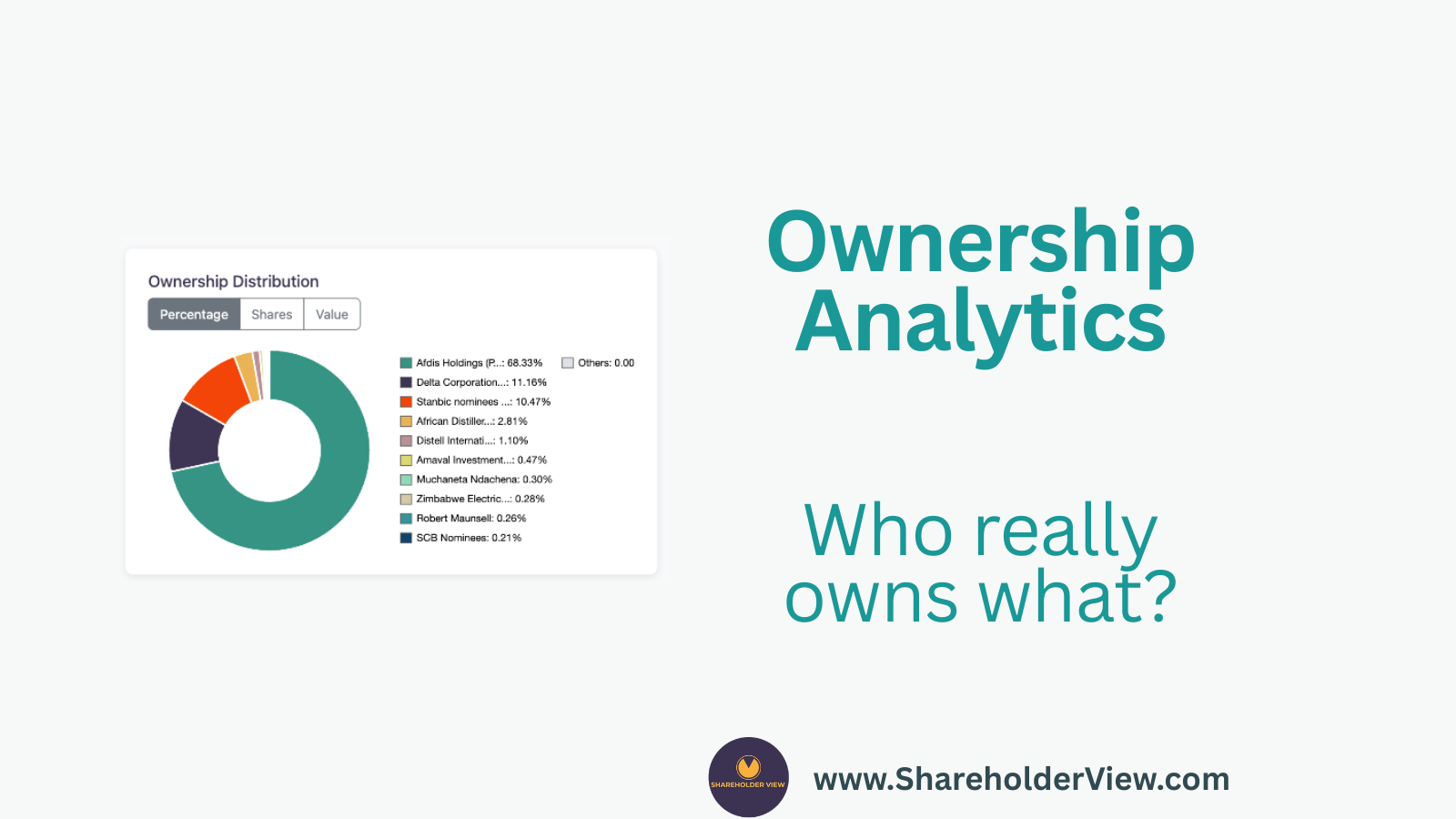 Ownership analytics: top shareholders and distribution breakdowns