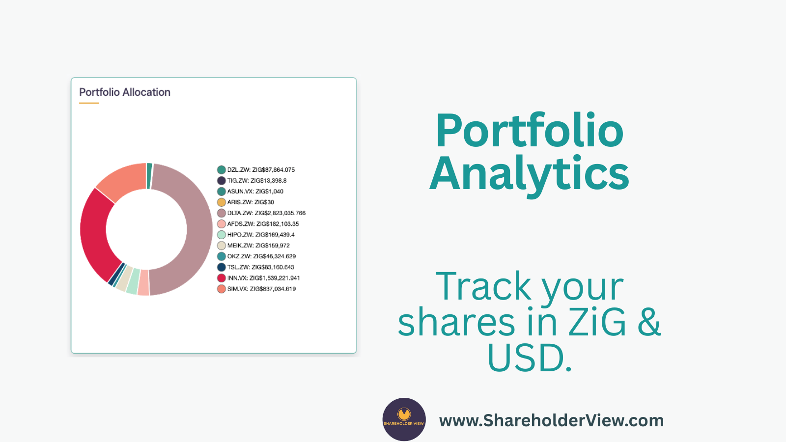 ShareholderView dashboard preview for ZSE and VFEX investors