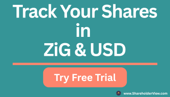 Introducing ShareholderView — smarter than spreadsheets